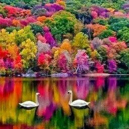 KarenKf331's profile picture. 