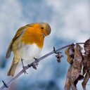 catherine chester - @catherinechest4 - Twitter