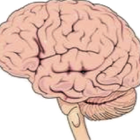 msp12389 (@msp12389) 's Twitter Profile Photo msp12389 (@msp12389) 's Twitter Profile Photo