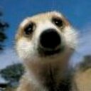 Derrick Bingham - @DerrickBingham2 - Twitter