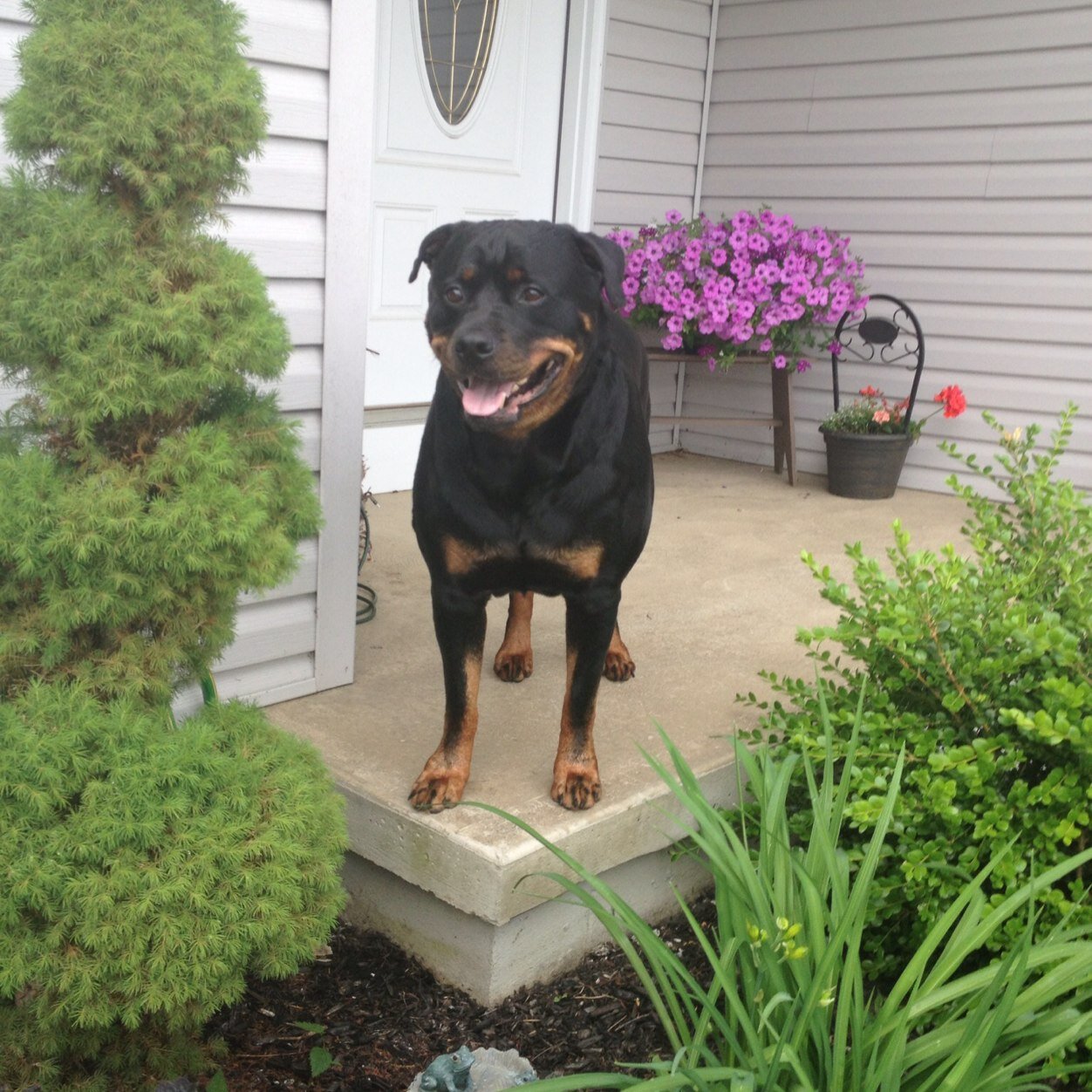 kimmann2's profile picture. 