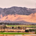 سعودصلفيق المغيص (@1390Saud) Twitter