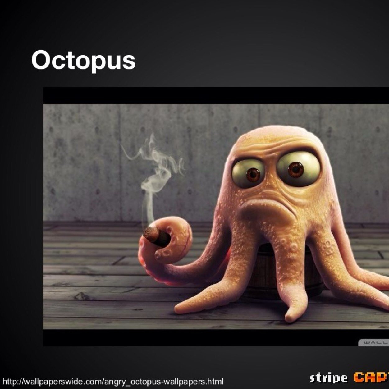 DoMySocial's profile picture. Let us bring social data  for your sales leads. Power your salesforce with social media insights in realtime.