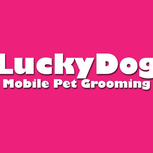 Lucky Dog Mobile Pet Services provides professional grooming for your pets at your home, office, hotel or set location. We offer mobile grooming service