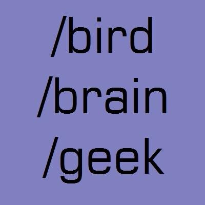 birdbraingeek's profile picture. re-arranging thought chairs 139 characters at a time