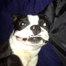 TjTj1320's profile picture. 