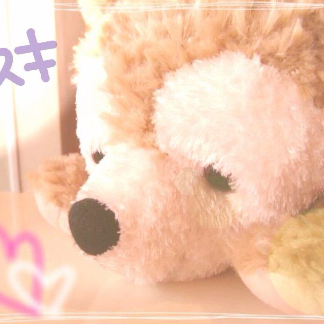 たくさんたくさん恋がしたい。
それってワガママかなぁ。
独りでいるのは嫌なの。
フォローはちゃんとするね^ ^