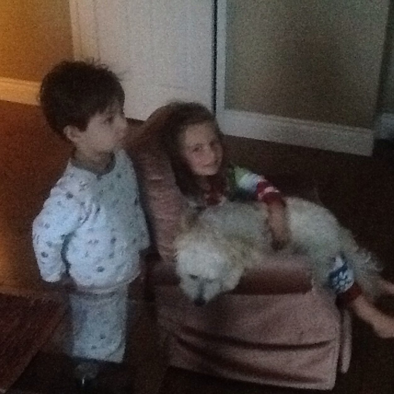 anngarymcdonald's profile picture. 