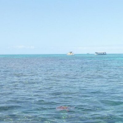 海の藻屑 Takedeezy Twitter