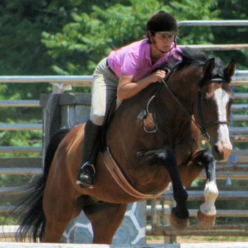 Bring the whole family!
English & Western Riding Lessons, Horse shows, Boarding, Horse sales, Trail rides, Rodeo & bucking bulls! 
David, Sally & Matt Lamb