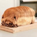 Dexter Lum - @Cheezyx - Twitter