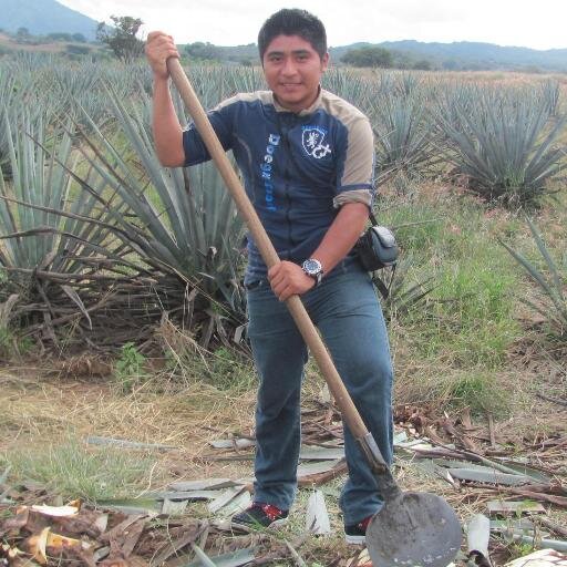 Estudiante de la universidad del Instituto Tecnológico Superior de Felipe Carrillo Puerto, ROO.