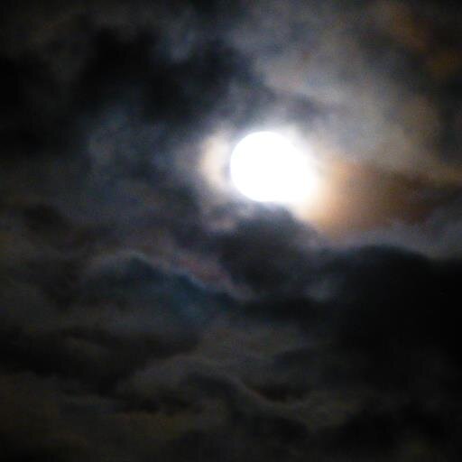 Seanisafan1's profile picture. 