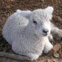 Kate Lowder - @LowderColours - Twitter