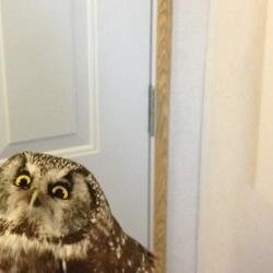 CWillbe's profile picture. 