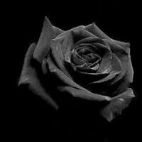 Hurdal Sirer (@hurdalsirer) Twitter profile photo