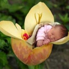 rojipeter's profile picture. 