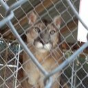 Kim Gammon - @kgammon1020 - Twitter