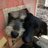 forgotten_paws's profile image