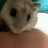nostalgiakimo's profile image