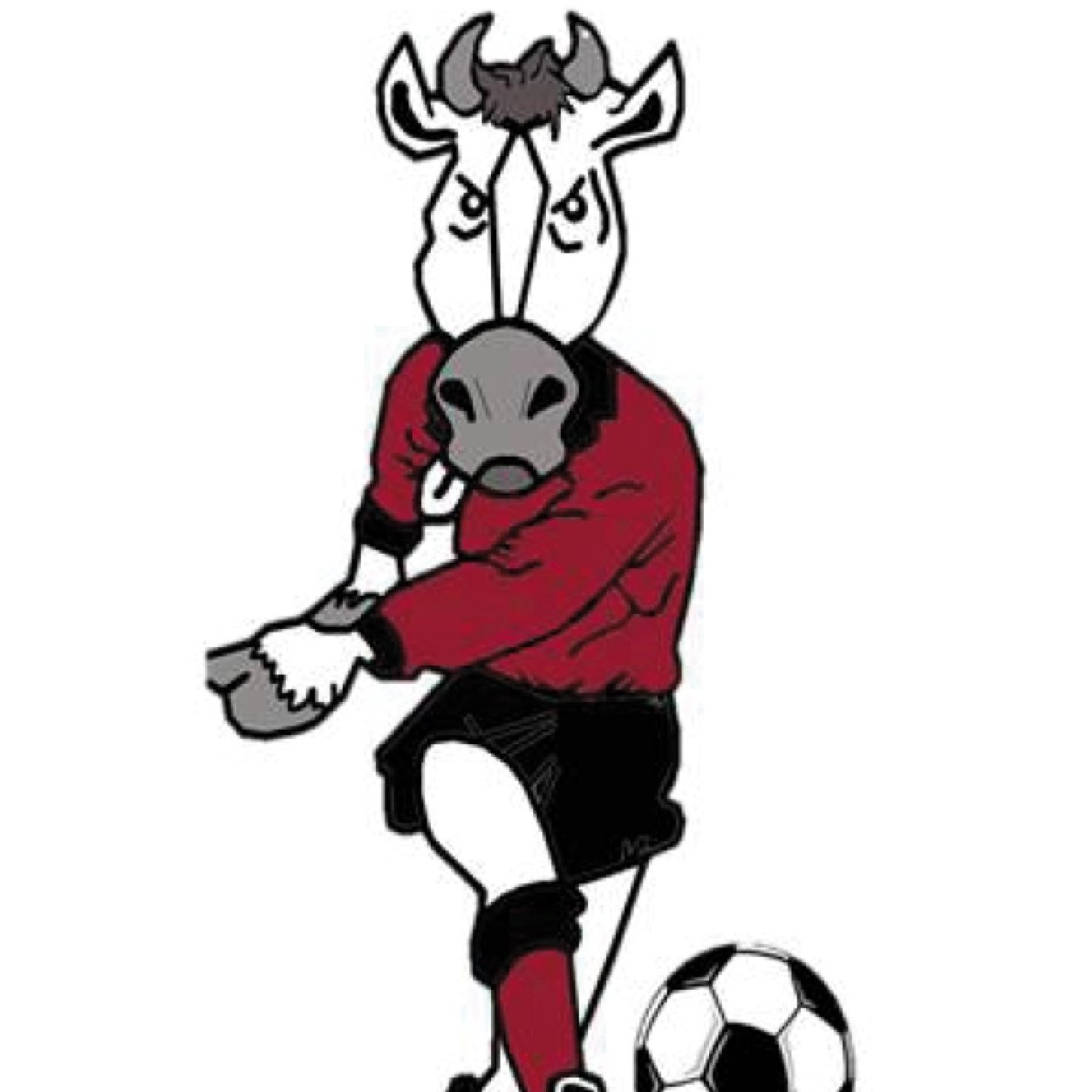 Sinds een aantal jaar organiseren wij het Familie de Jong toernooi. Een sportieve en gezellige dag voor jong en oud! Voor meer info, zie onze Facebook pagina