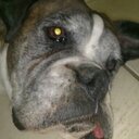 I Hate Liberals - @JanineSmith18 - Twitter