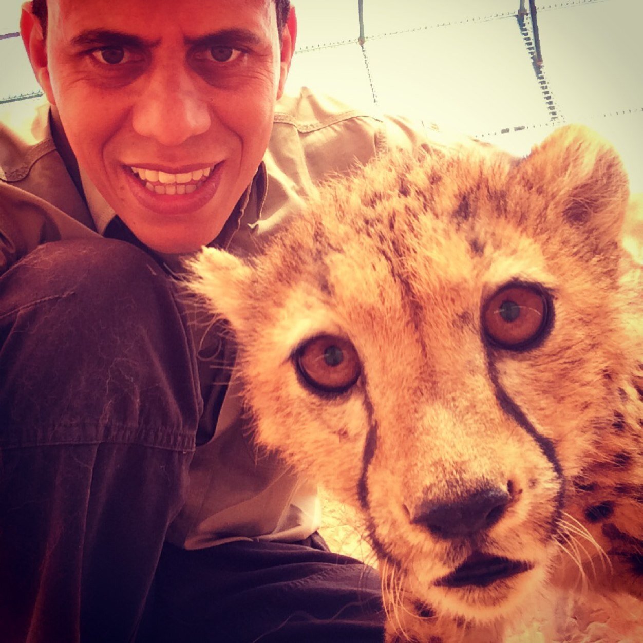 WalterAnimal's profile picture. 