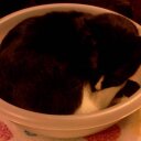 Bobby Elder - @bobbyeldera - Twitter