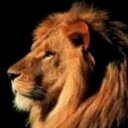 Shaun Howard - @motetebte - Twitter