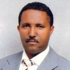 gotoall's profile picture. 