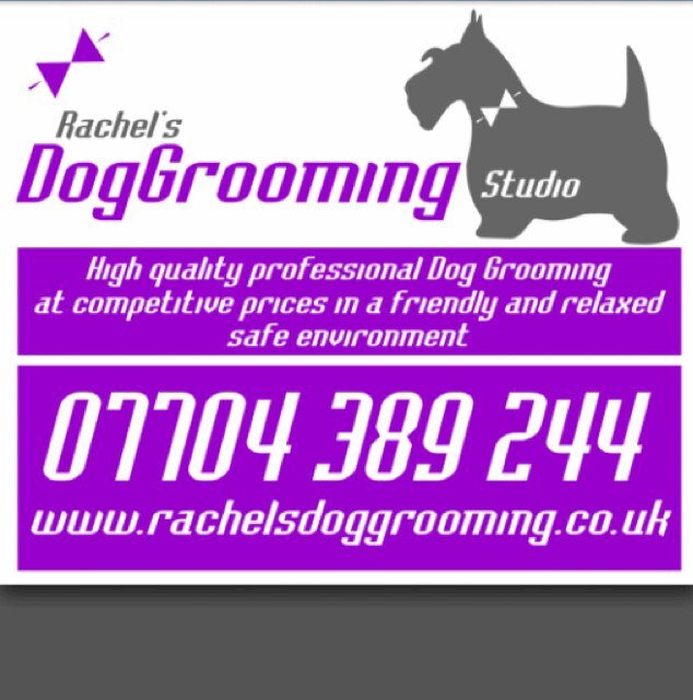 City and guilds qualified dog groomer, Chester, Wirral and surrounding areas. http://t.co/KqOxRFo0Be