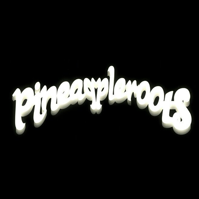 the offical account of the pineappleroots