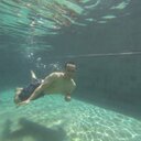 Indra Putra - @ndrrraaa - Twitter