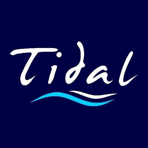 TidalTSA's profile picture. Harnessing the power of education together...