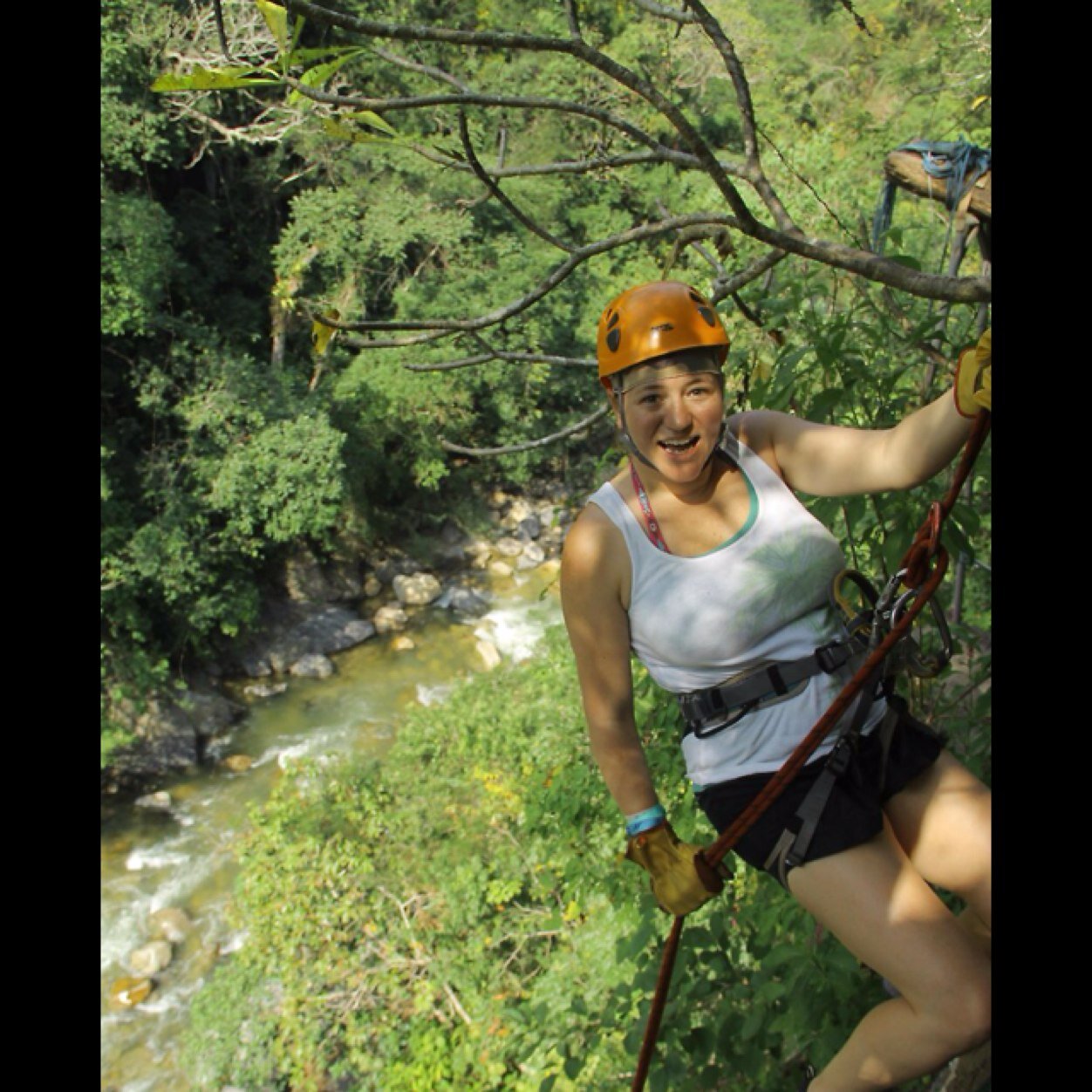 guacamoletexas's profile picture. 