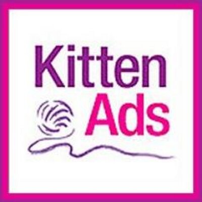 kittenads sussex kittenads sussex