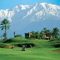 MarrakechOfficial (@yourmarrakech) 's Twitter Profile