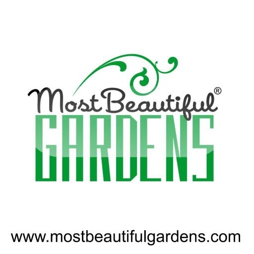 http://t.co/wZkpWjwZm4 is offering you the world’s largest collection of amazing unique Garden themed photos. http://t.co/gVZ7hTpbHR