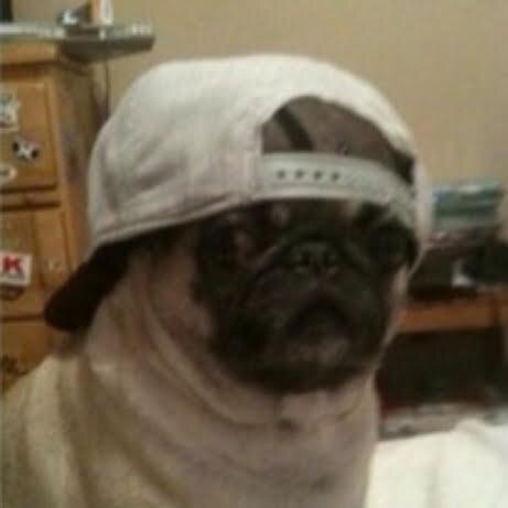 1SotRS's profile picture. ...