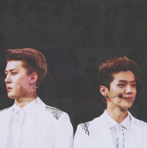 free follow from @wuyipaness