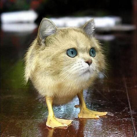 Barry_Onyx's profile picture. 100 Internets and a BFF for whoever understands my name