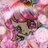 萌杏伽＠にじいろ☆うしゃぎさんのプロフィール画像