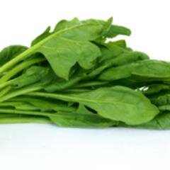 vegetables04's profile picture. 