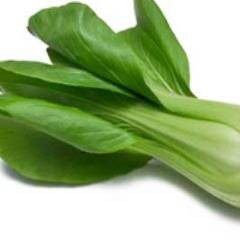 vegetables06's profile picture. 