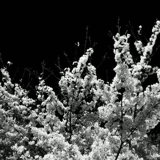 ezinan's profile picture. 다양한 관심사 / 모태맞팔 / 포교,음란 사절