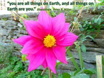 ArcayenaCarine's profile picture. 