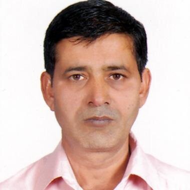 freelance journalist (News Paper)