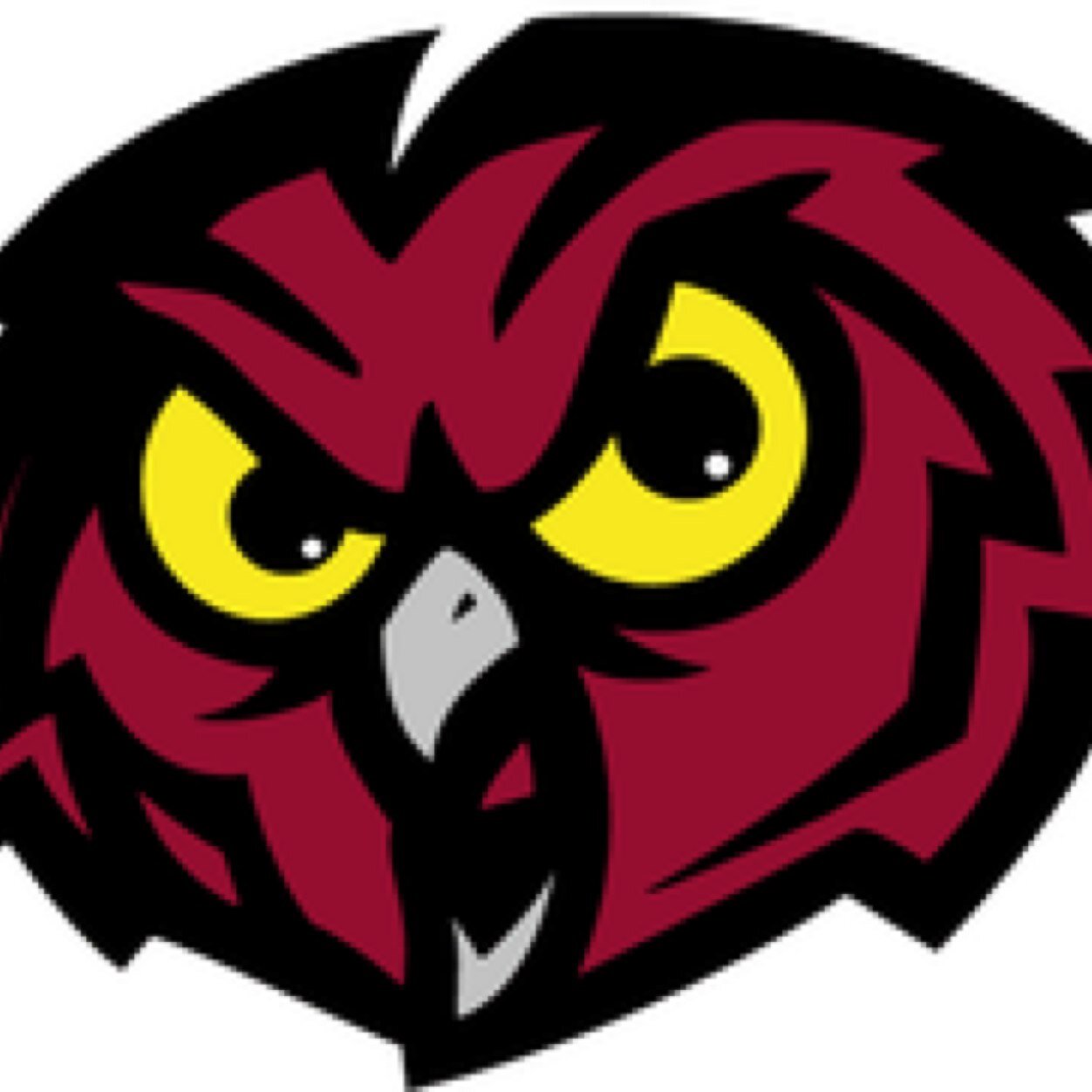 TempleUni_2018's profile picture. The Twitter account for Temple seniors!  Mention us with questions or info. Not affiliated with Temple University. #TemplePride #Temple2018 ✨✏️