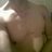 nicomen32's profile image