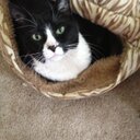 Sharon Cherry - @shae00169 - Twitter